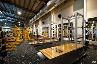 本土健身會館品牌健身工廠正式揮旗進軍中臺灣健身市場，引領健身休閑新風潮